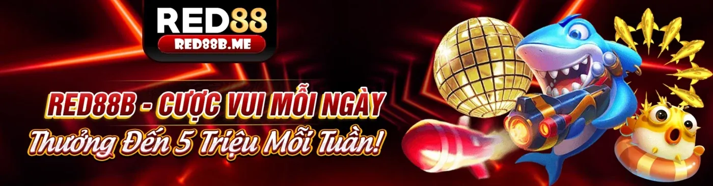 Giao diện quản lý cài đặt quyền riêng tư và cookie của người dùng trên de88 win